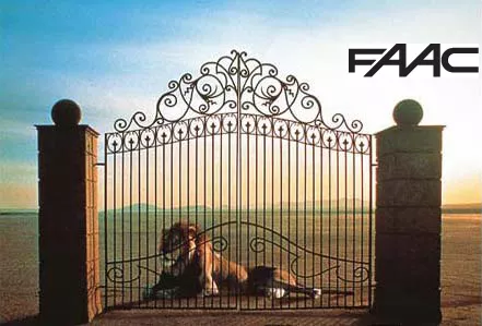 KIT Automazione per Cancello FAAC